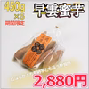 【早雲蜜芋】岡山県井原市産　さつまいも　オリジナル品種 450g×5袋