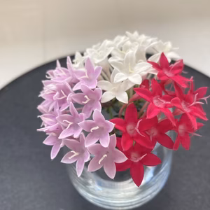 竹田様　専用商品