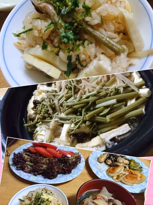 みんなの投稿の画像