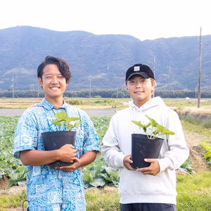 ベリーメイトファームのこだわりの苺パック