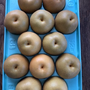 豊水　家庭用5㎏大玉12玉　4Lサイズ