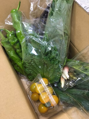 みんなの投稿の画像