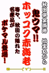 鬼ウマ！秋田ホッコクアカ海老（甘エビ）１キロ