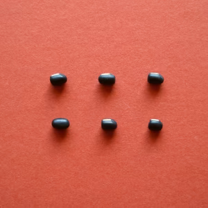 【黒小豆　２００g】色が黒く、コク深い小豆です