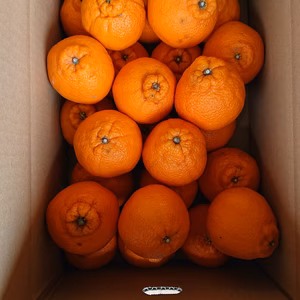 蔵出し完熟しらぬい 濃厚な味わい