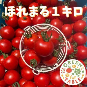 ミニトマト【ほれまる】１キロ
