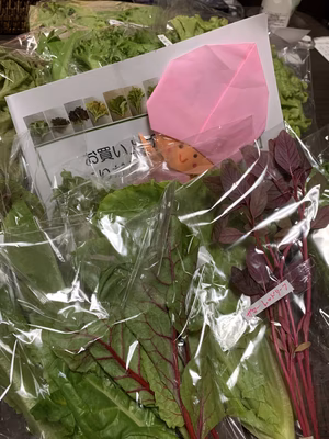 みんなの投稿の画像