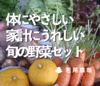 『体にやさしい。家計にうれしい！』旬の野菜セット