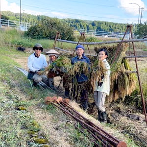 【2025年度産】自然栽培ゆめみづほ（富山県氷見産）