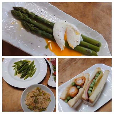 みんなの投稿の画像