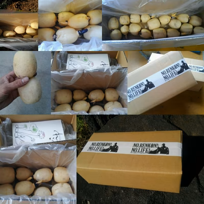 みんなの投稿の画像