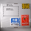 【４月発送予約】トクトクいちごの宝石箱！酵素栽培の完熟とちおとめ