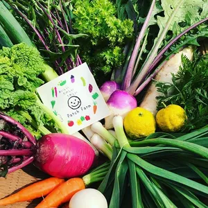 冷蔵便【9月のお試しBOX】渥美半島から旬と彩りの野菜セット