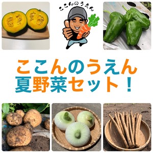 【自慢の夏野菜】5種セット！【農薬・化学肥料不使用】