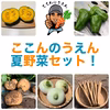 【自慢の夏野菜】5種セット！【農薬・化学肥料不使用】