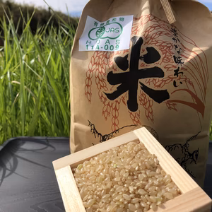 採れたて！新鮮な有機野菜と有機のお米（２キロ）詰め合わせセット