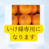 いけ様専用になります サイズ3Sから4S 訳あり　