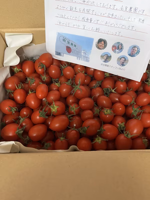 みんなの投稿の画像