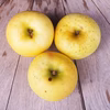 【訳ありご家庭用】フルーティーな甘さで皮ごとおいしい青森りんご「きおう」