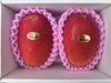 【化粧箱入り】宮崎県産完熟マンゴー　1㎏（2～3個入り）発送は6月20日以降