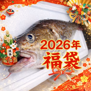 【福袋2026】マダラ 性別未選別 オマケ付【タラコ 白子  マダラ 鱈 】