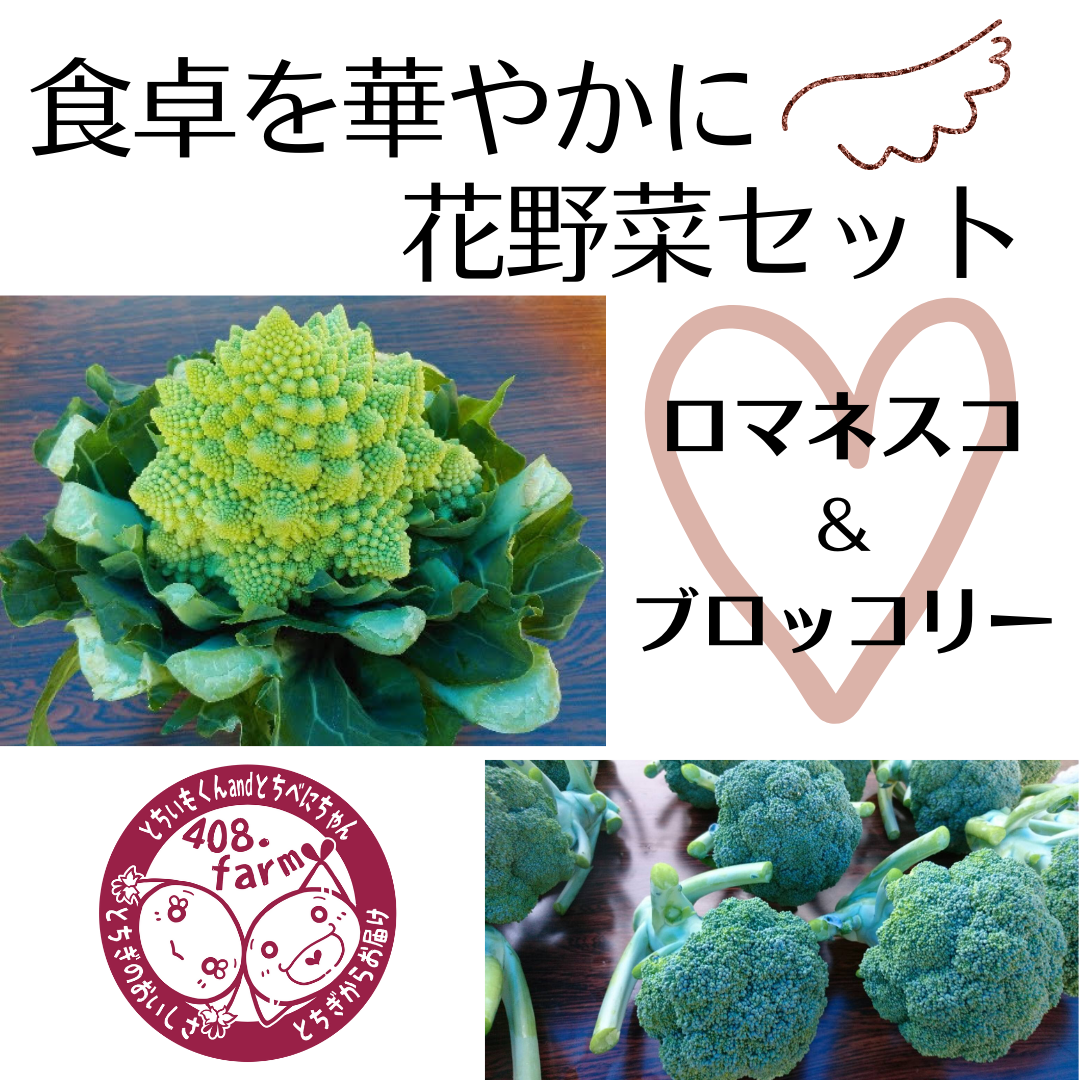 Sale 66 Off 野菜苗用ラベル カリブロ花椰菜 ロマネスコ 100枚入 No652 Rmb Com Ar