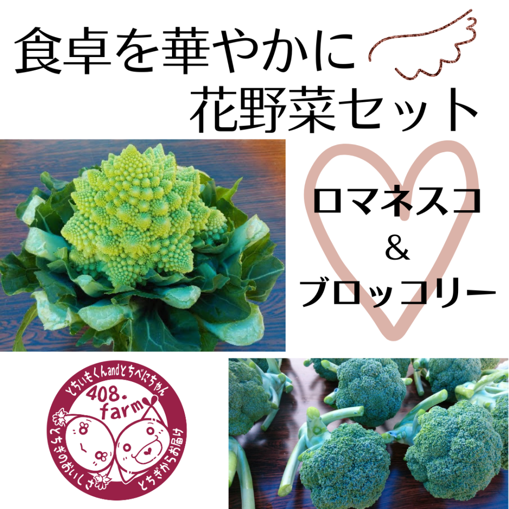 12月上旬 順次お届け 花野菜セット２種 ブロッコリー ロマネスコ 農家漁師から産地直送の通販 ポケットマルシェ