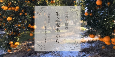 アスパラに不知火に…大寒波襲来🌀1月前半の生産現場から