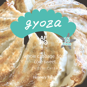 定期便！Newアフロきゃべつ餃子　