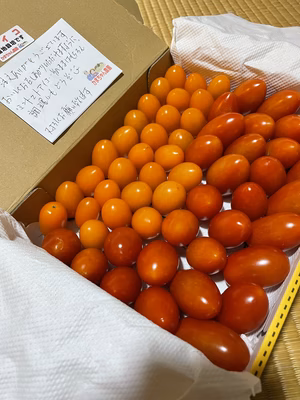 みんなの投稿の画像