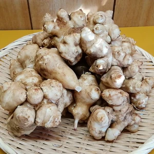 化学肥料、化学農薬を使用せずに栽培したこだわり菊芋(2kg)