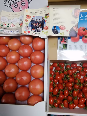 みんなの投稿の画像