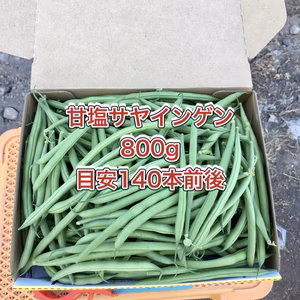 【鹿児島産】甘塩サヤインゲン箱込み800g^_^