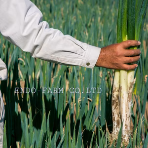 泥付きで長持ち　有機肥料使用の華ねぎ　