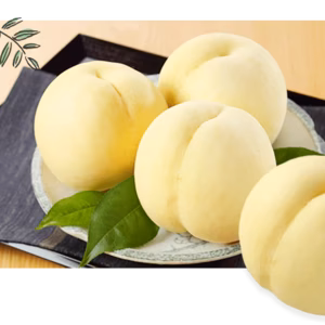 【予約商品】岡山白桃【訳アリ品】1.4㎏4玉～6玉