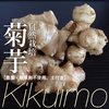 自然栽培の菊芋【農薬不使用】土付き6kg