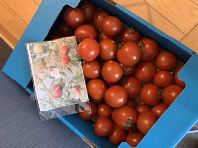 みんなの投稿の画像