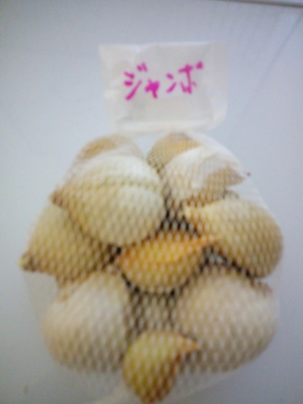 ジャンボにんにく種子 (バラ1kg) 