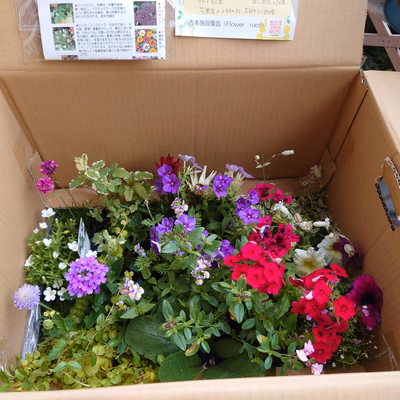 みんなの投稿の画像