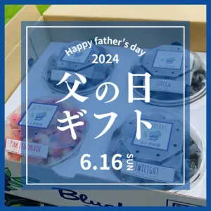 [父の日ギフト]完熟ブルーベリー　食べ比べセット(125g×4パック)