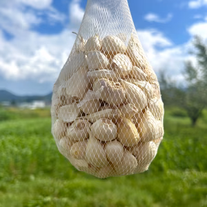 【農薬不使用のプレミアム品！】青森県産にんにく最高級品種ホワイト６片