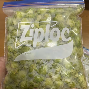 お試し冷凍生ホップ