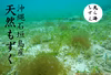 「天然もずく」「送料360円」 550gパック/常温保存/塩蔵/沖縄石垣島産