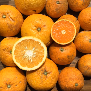 ［訳ありセール］加工向きのアマキヨ(甘夏と清見)【農薬不使用】