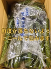【訳ありお買い得】朝採れ新鮮！漬物用きゅうり５ｋｇ