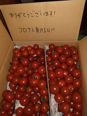 みんなの投稿の画像