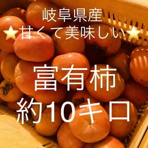 限定10箱⭐️ 農家直送‼️　岐阜県産富有柿　10キロ