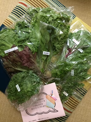 みんなの投稿の画像