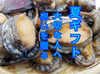 【夏ギフト】30セット限定7月発送！　活とこぶし600グラム入り