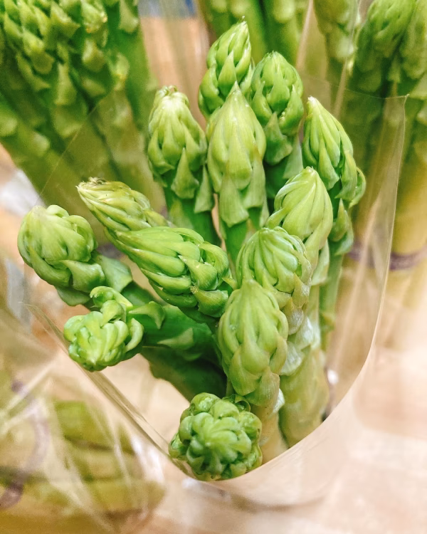 【御自宅用✨】M〜3L朝採りアスパラガス！